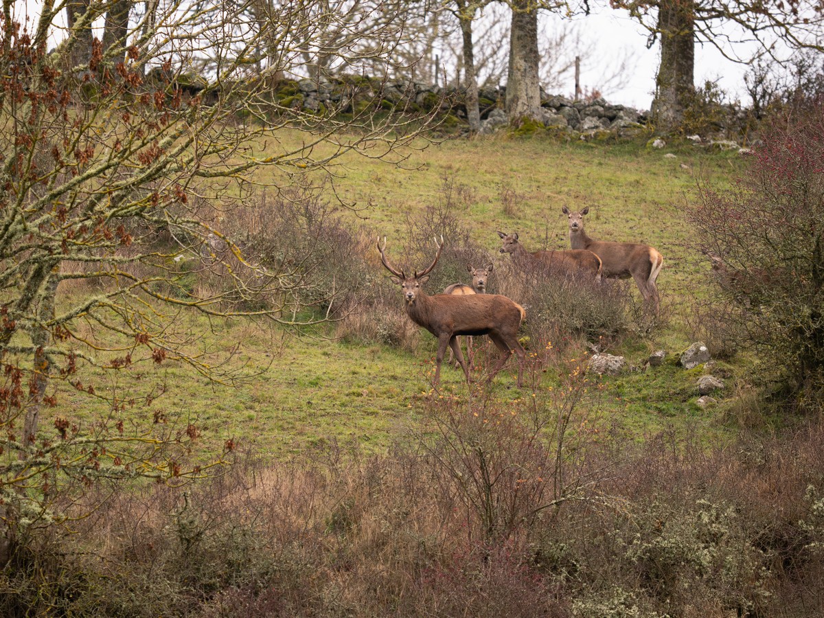 17112025-17 11 25 (2).jpg